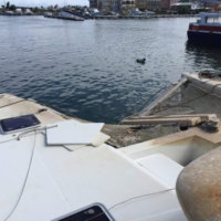 new tritoon boats for sale