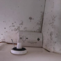 Robertson & Caine Leopard 47′ 2006 (Rangitoto)