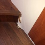 Sunseeker Predator 63', 2000 (Lady Sophie)