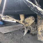 Sunseeker Predator 63', 2000 (Lady Sophie)