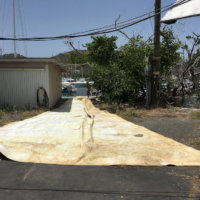 54'X 50" X 20" 4" Genoa With Roller Furling Tape (Used) 54'X 50" X 20" 4" Genoa With Roller Furling Tape (Used)