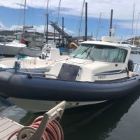 Rayglass Boats Protector Targa 28.5′ 2007