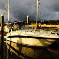 Four Winns 298 Vista 31' (My Ocean Mistress)