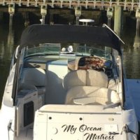 Four Winns 298 Vista 31' (My Ocean Mistress)