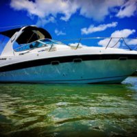 Four Winns 298 Vista 31' (My Ocean Mistress)
