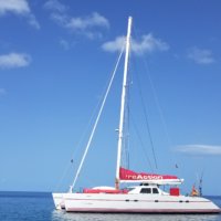 Lagoon 55 auction boat
