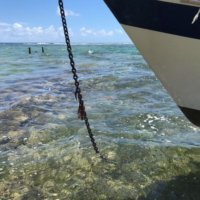 NEW AUCTION 1987 Irwin 38 Citation