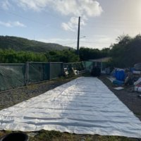 Main Sail (Used)(Used)