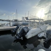 Sold: 2018 World Cat 296 DC