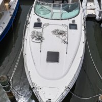 2006 Chaparral 350 Auction No Reserve