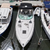 2006 Chaparral 350 Auction No Reserve