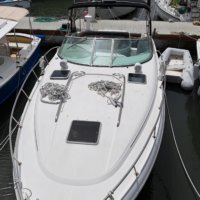 2006 Chaparral 350 Auction No Reserve