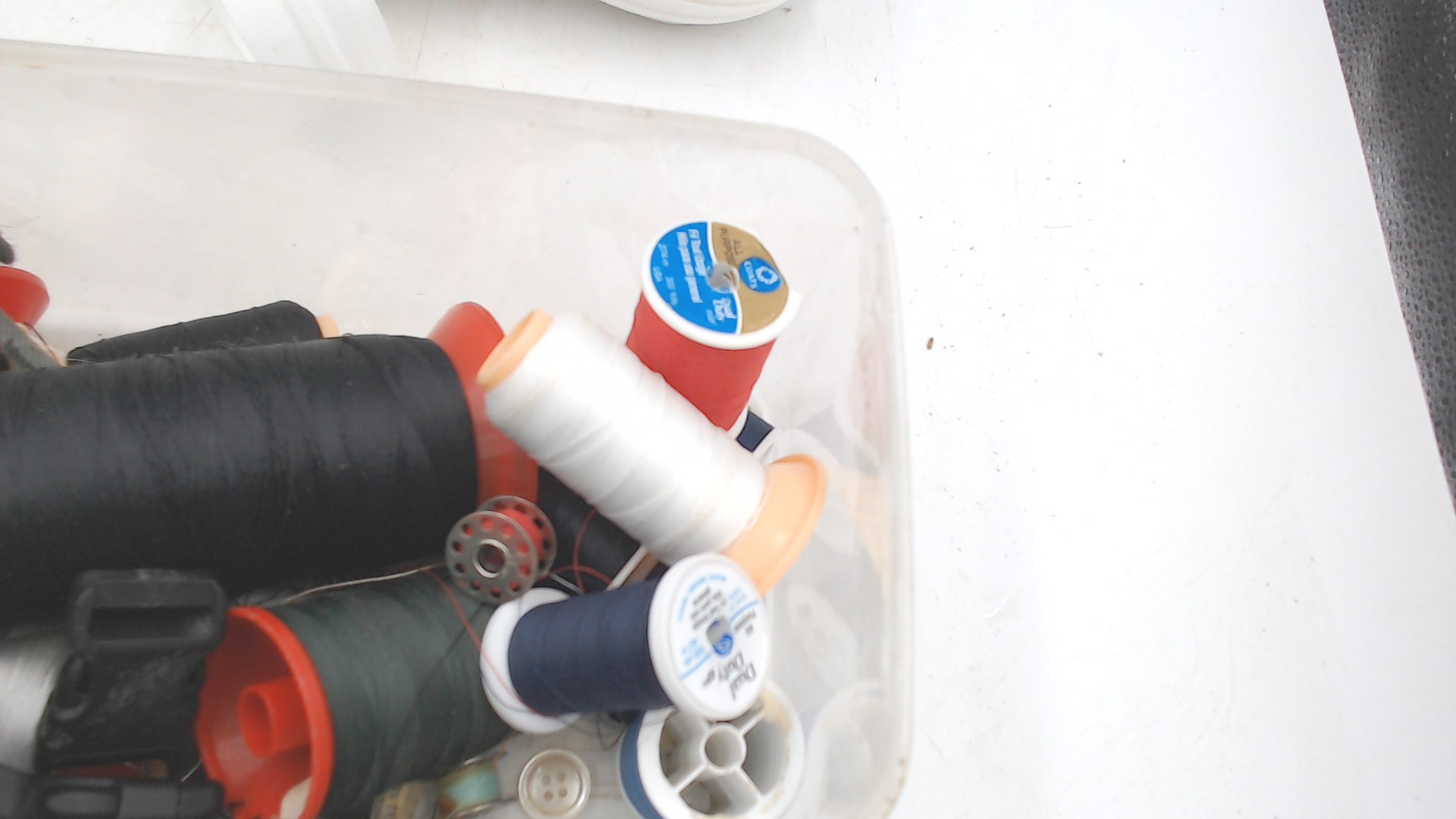 WIN_20240216_10_03_49_Pro.jpg Sewing Studs Used WB6