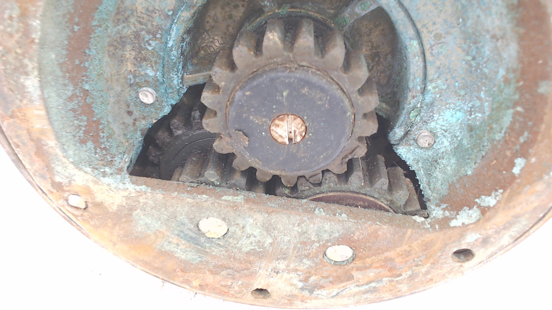 WIN_20240311_14_06_52_Pro.jpg Lewmar 48 Used WC3