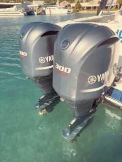 2000 366 Cuddy Cabin Intrepid with NEW Yamaha 300's 2000 366 Cuddy Cabin Intrepid with NEW Yamaha 300's