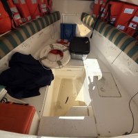 SeeVee 3201 Deep Sea Fishing Powerboat with Trailer