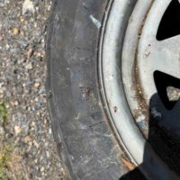 Boat Trailer Tire