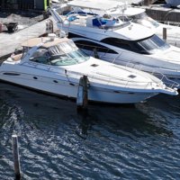 Sea Ray Sundancer 460