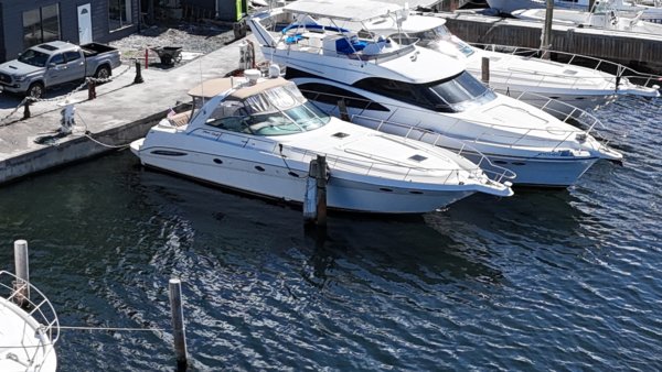 Sea Ray Sundancer 460 Price Reduction!!