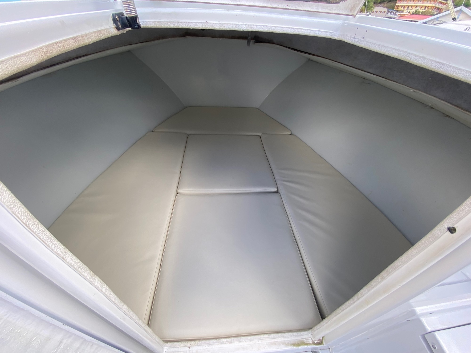 photo_1765638578440_608 2005 Contender 31 Cuddy – Swell Chaser