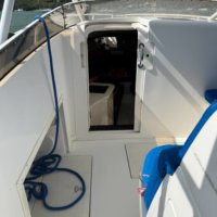 Blue Paradise Blue Paradise