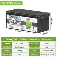 TCBWORTH 36V 150Ah LiFePO4 Battery with Charger,Built in 100A BMS,for Trolling Motor,RV,Solar Energy Storage,Golf Cart,Marine
