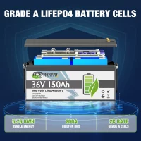 TCBWORTH 36V 150Ah LiFePO4 Battery with Charger,Built in 100A BMS,for Trolling Motor,RV,Solar Energy Storage,Golf Cart,Marine