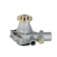 15202009F 15202023F Water Pump for VM Motori Engine D703 D704 HR394HP HR394HPT Tractor