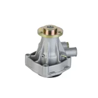 15202009F 15202023F Water Pump for VM Motori Engine D703 D704 HR394HP HR394HPT Tractor