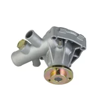 15202009F 15202023F Water Pump for VM Motori Engine D703 D704 HR394HP HR394HPT Tractor