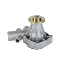 15202009F 15202023F Water Pump for VM Motori Engine D703 D704 HR394HP HR394HPT Tractor