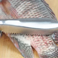 Stainless Steel Fish Cleaning Knife Skinner Fish Skin Scraper Fish Scales Fishing Cleaning Kitchen Cooking Tools Kitchen Gadget Stainless Steel Fish Cleaning Knife Skinner Fish Skin Scraper Fish Scales Fishing Cleaning Kitchen Cooking Tools Kitchen Gadget