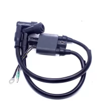 3A0-06048 Ignition Coil For Tohatsu Mercury Outboard Motor Parts 25 30HP 3A0-06048-1 160643 8M0047311 with Plug Cap